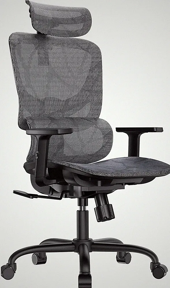 Ergonomic Mesh Office Chair with Lumbar Support & Adjustable Features