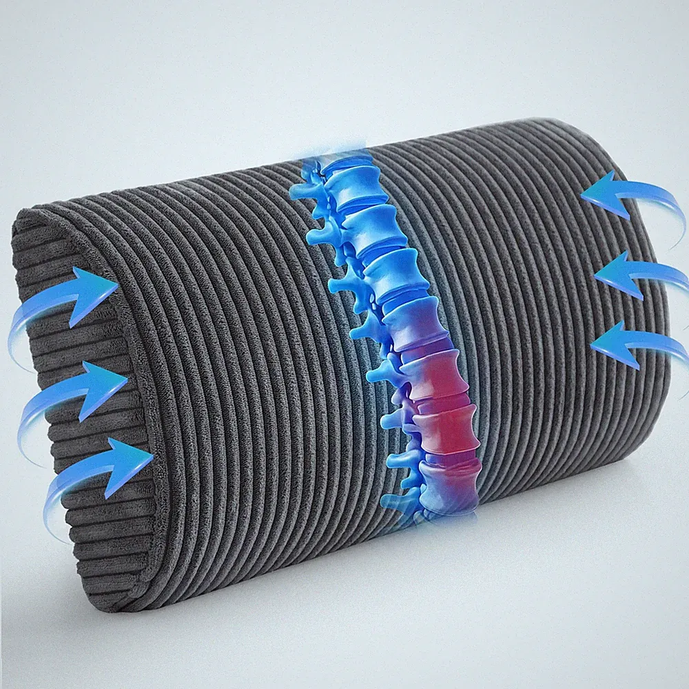 New HIGOGOGO Lumbar Support Pillow for Recliner Chair/Accent Chair/Couch, Memory